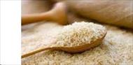 تحقیق کیفیت دانه برنج معطر